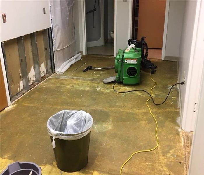 Cut and containment for mold remediation