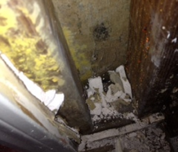 Evidence of mold in wall cavity