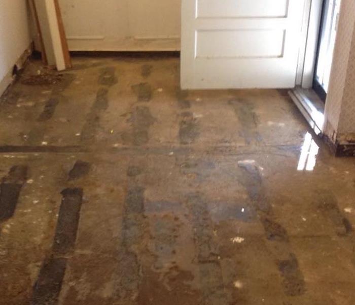 Hardwood with Water Damage after Flooding